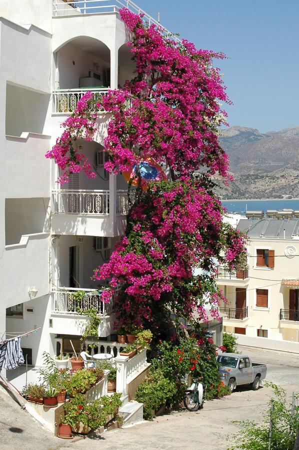 Roses Studios Karpathos Exteriér fotografie